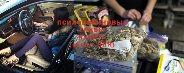 бошки Арсеньев