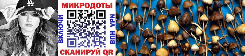 Галлюциногенные грибы Psilocybine cubensis  Карачев 