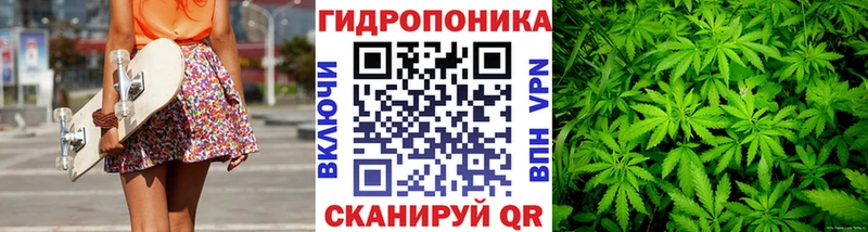 Шишки марихуана семена  как найти наркотики  Карачев 